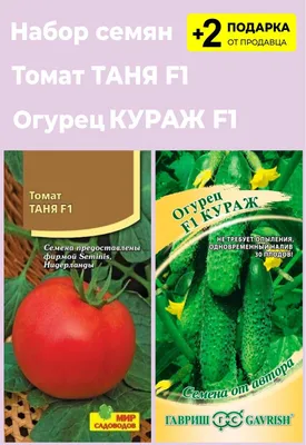 Tomato seeds cultivar Tanya F1 buy | Nursery VASKhNiL
