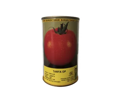 Купить семена помидора \"Таня F1\" (Seminis) почтой | «фазенда»