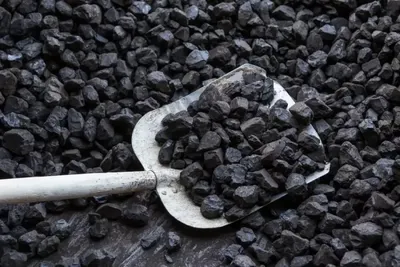 В Алтайском крае не все муниципалитеты заготовили уголь к зиме - Российская  газета