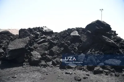 Купить уголь в Сланцах: каменный уголь с доставкой от 1 тонны оптом и в  розницу