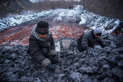 Похудевшая на 30 кг жительница Кузбасса получила 5 тонн угля :: Новости ::  ТВ Центр