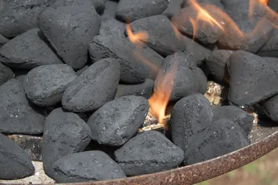 За последнюю неделю стоимость тонны местного угля выросла на 340 сомов |  Новости.кг
