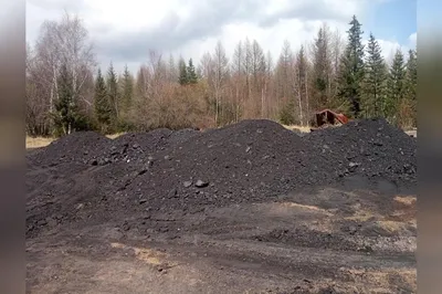 Депутат: Тонна угля уже стоит 8 тыс. сомов, что будет дальше? — Tazabek