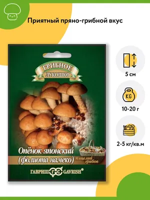 Мицелий грибов Опёнок летний на деревянных палочках 12 шт — купить в  интернет-магазине по низкой цене на Яндекс Маркете