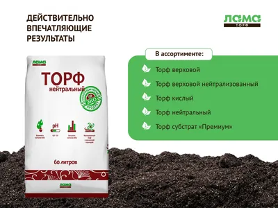 Торф: образование, виды и применение