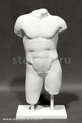 вычерченный торс мужчины сердца Стоковое Фото - изображение насчитывающей  торс, люди: 15477492