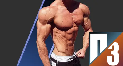 Мускулистый торс мужчины сгибает бицепсы, картинка двуглавой мышцы, фитнес,  прочность фон картинки и Фото для бесплатной загрузки