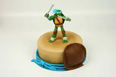 Pin by Haley Sodaitis on What to Bake? What to Bake?… | Ninja turtle  birthday cake, Ninja turtles birthday party, Ninja turtle birthday