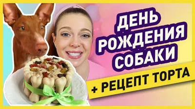 Торты, кондитерские изделия для животных: собак и кошек. Москва и  Подмосковье. | Умный Пёс.