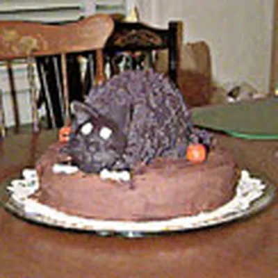 Игрушка-торт для собак, красочные свечи, игрушка для торта на день рождения  собаки, креативный Забавный подарок для собаки, мягкая плюшевая вышитая  игрушка для жевания костей и собак | AliExpress