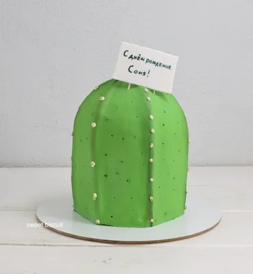 Торт кактус фото фотографии