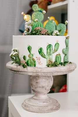 Торт кактус 🌵 | Cactus cake, Cake decorating, Cactus