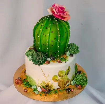 Торт с кактусами | Торт, Кактус, Кремовые цветы