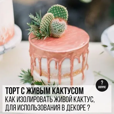 6 шт. Зеленый Кактус, тематический детский торт на день рождения, флаг,  десерт, оформление детской вечеринки, кекс | AliExpress