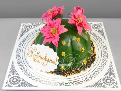 Подарочный торт кактус № 350 стоимостью 6 550 рублей - торты на заказ  ПРЕМИУМ-класса от КП «Алтуфьево»
