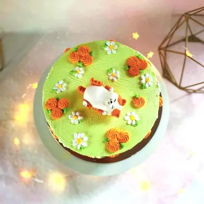 Какой торт выбрать на детский день рождения: из мастики или крема