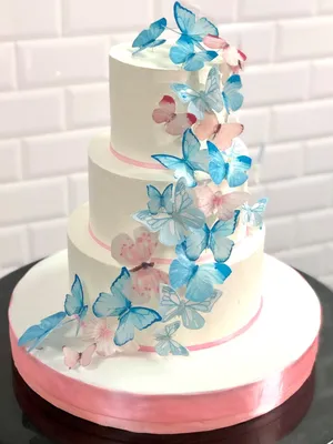 Нежный торт с бабочками Внутри орео. #тортназаказбарановичи #тортдлядевушки  #тортсбабочками #тортнаденьрождения #тортбарановичи🍰 | Instagram