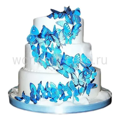 Торт с бабочками купить в Санкт-Петербурге | Кейк