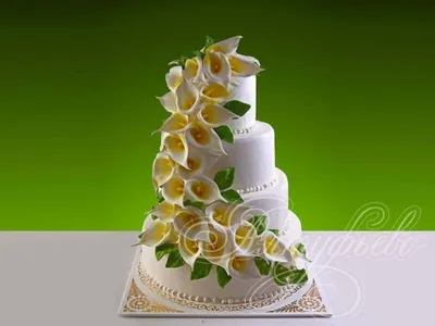 калл из крема на торт: 2 тыс изображений найдено в Яндекс.Картинках | Cake  decorating, Cake designs birthday, Cake