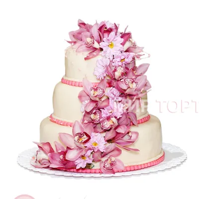 Торт с живыми цветами №1123 по цене: 2500.00 руб в Москве | Lv-Cake.ru