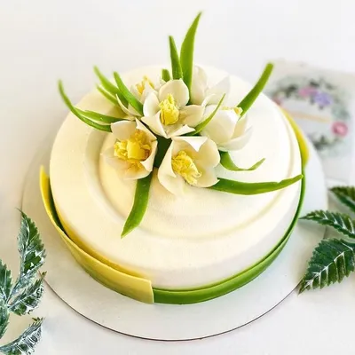 Торт тюльпаны фото фотографии