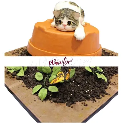 Торт в виде Кошки №21 | Заказать торт недорого в кондитерской Wow-tort
