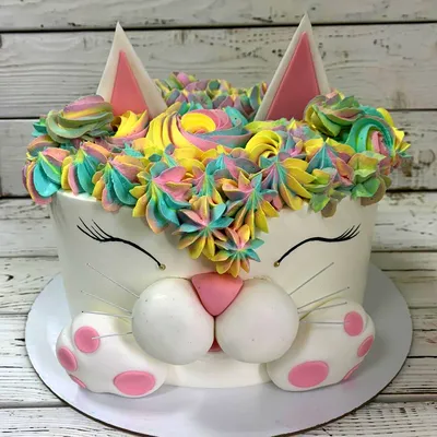 Торт в виде кошки фотографии