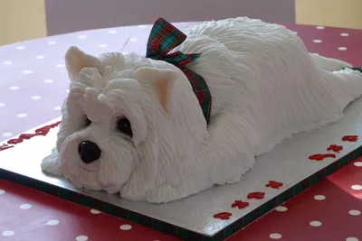 Фото собачки на торте - веселая деталь праздника