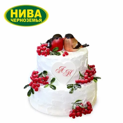 Торт «Зимняя сказка» с цукатами с бесплатной доставкой на дом из «ВкусВилл»  | Ставрополь