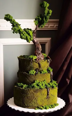 Невероятные торты - когда десерт становится искусством