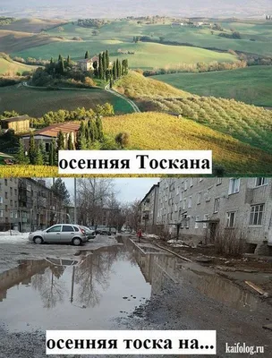 Тоска.