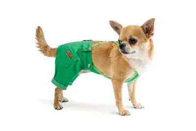 Одежда для собак - интернет-магазин Crystaldog