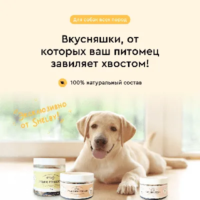 Книга \"Одежда для собак + выкройки\" купить в Москве - интернет-магазин  издательства Хоббитека