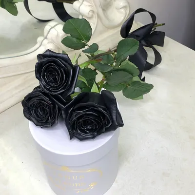 Траурные розы фото фотографии