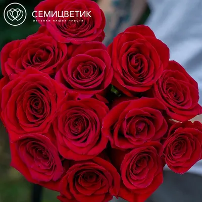 Траурные букеты - 74 фото