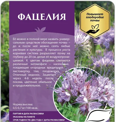 Фацелия - семена 1 кг - Пчеларски магазин Слънчоглед