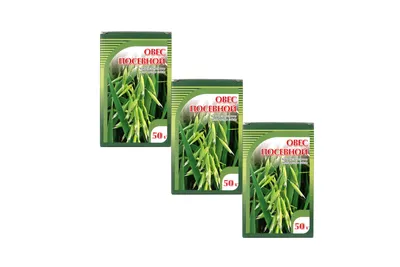Овес посевной (трава) - купить по низкой цене в фито-аптеке Русские Корни