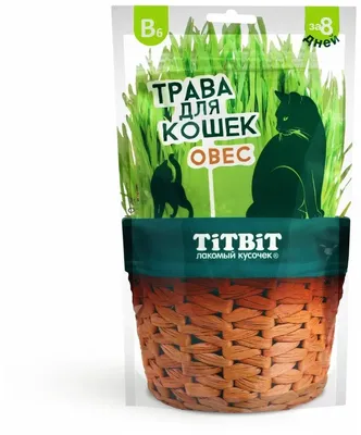 Мыло для бани вербена лимонная трава БиоБьюти Овсянка 3032 130 мл - купить  в Москве, цены на Мегамаркет