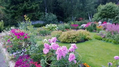 Декоративные травы для сада: названия, описания и фото | Интернет-магазин  садовых растений