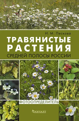 Травянистые растения средней полосы России: Фотоопределитель | Фитон XXI