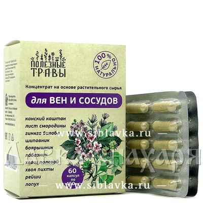Раcторопша пятнистая - Расторопша - Травянистые растения для открытого  грунта - GreenInfo.ru