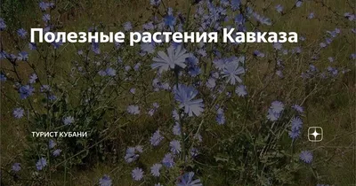 Cбор трав для купания детей | Травы Кавказа