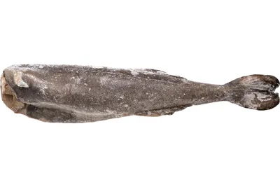 ☰ Треска черная (угольная рыба) «Sablefish» цена от 485 грн заказать с  доставкой в городе Киев