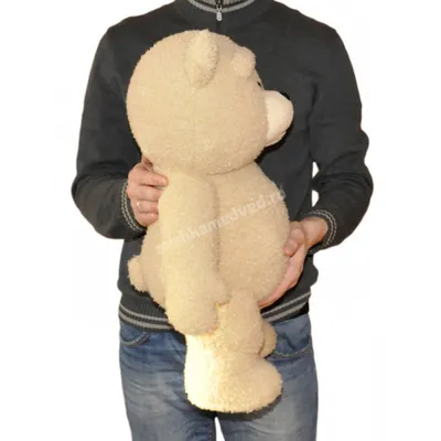 Третий лишний (Ted) (сериал, 1 сезон) – Канобу