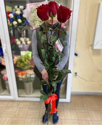 Букет из 3 роз в пленке – купить с доставкой в Москве. Цена ниже!