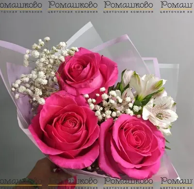 3 розы \"Адель\" - Доставкой цветов в Москве! 76333 товаров! Цены от 487 руб.  Цветы Тут