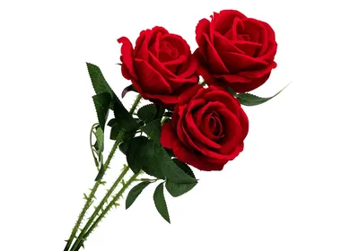 Заказать 3 розовые розы по цене от 760 руб. в Новосибирске |  Интернет-магазин цветов Виола