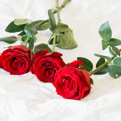 3 розы с эвкалиптом с доставкой по Алмате — Cvety.kz