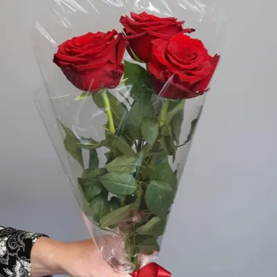 Купить букет из 3 белых роз в Пензе, импортные розы
