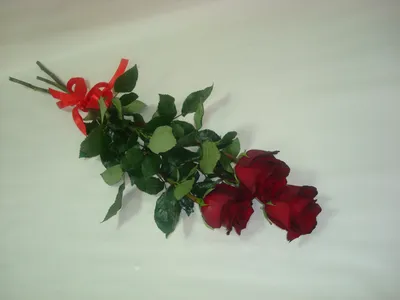 букет из 3 красных роз - Доставкой цветов в Москве! 73694 товаров! Цены от  487 руб. Цветы Тут